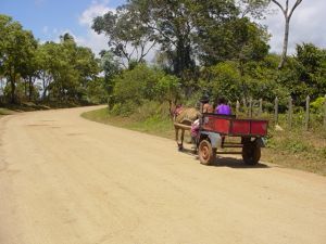 Trabalhadores na estrada, rea rural  Ilhus/BA - Fonte: Saul Mendez, 2004