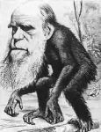 Charge de um jornal londrino, ironizando a tese da filogenia entre seres humanos e smios,  poca, recm-proposta por Darwin. - Fonte: <http://www.girafamania.com.br/artistas/charles-darwin.jpg>. 